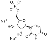 Uridine 5'-monophosphate disodium salt